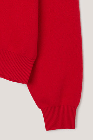 UNISEX CASHMERE COLLARED SWEATER RED