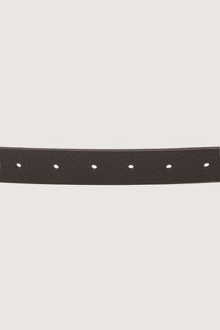 D-BUCKLE CLASSIC BELT ESPRESSO