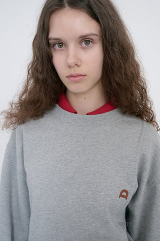 UNISEX DUNST LOGO CREASE SWEATSHIRT MELANGE GREY