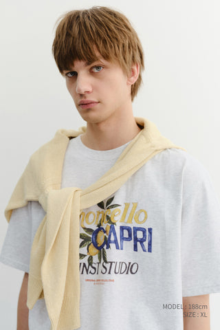 UNISEX LIMONCELLO T-SHIRT LIGHT MELANGE GREY