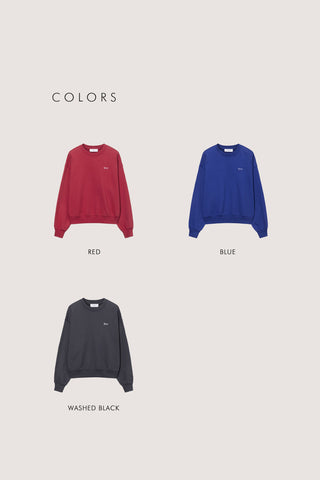 UNISEX GARMENT DYED SWEATSHIRT BLUE